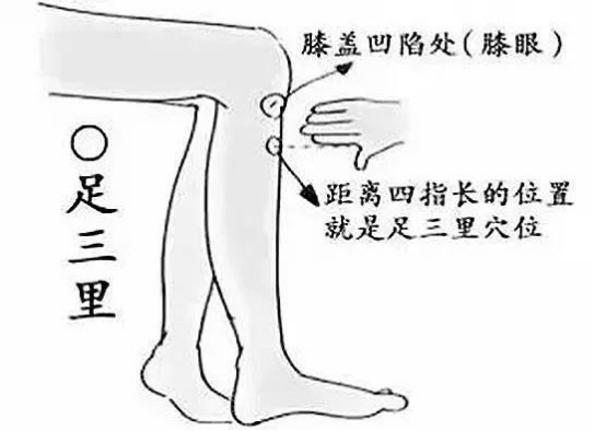穴位